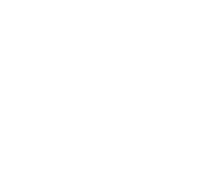 TST Logo